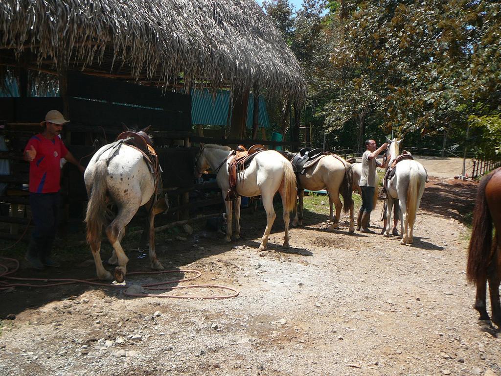 Casas Buenas Brisas Villa Ojochal Szoba fotó