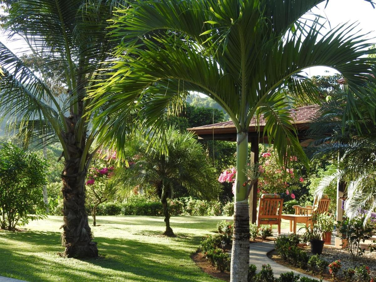 Casas Buenas Brisas Villa Ojochal Kültér fotó